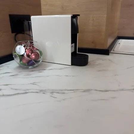 Apartment Free Private Garage Stylish Near Center Warna